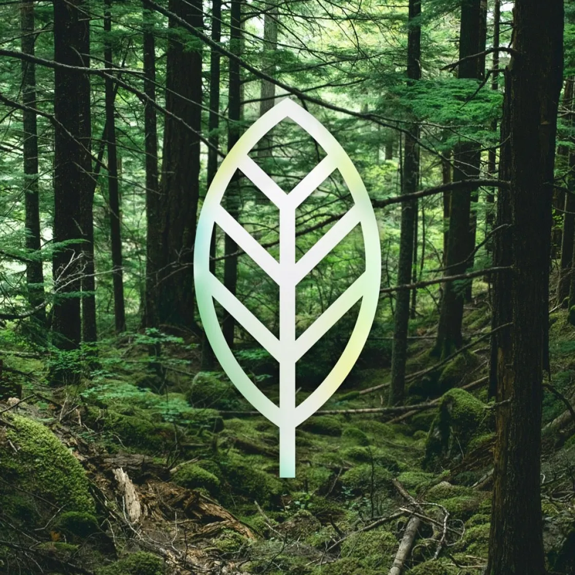 Gear4 Copenhagen Eco-Friendly Cell Phone Case Black Sale