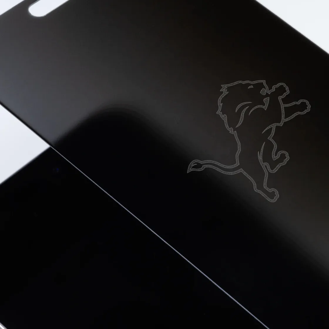 Custom Glass Detroit Lions - Custom Privacy Glass Best