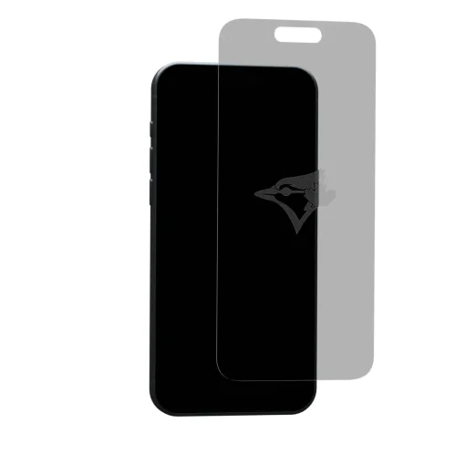 Custom Glass Toronto Blue Jays - Custom Clear Glass Clearance